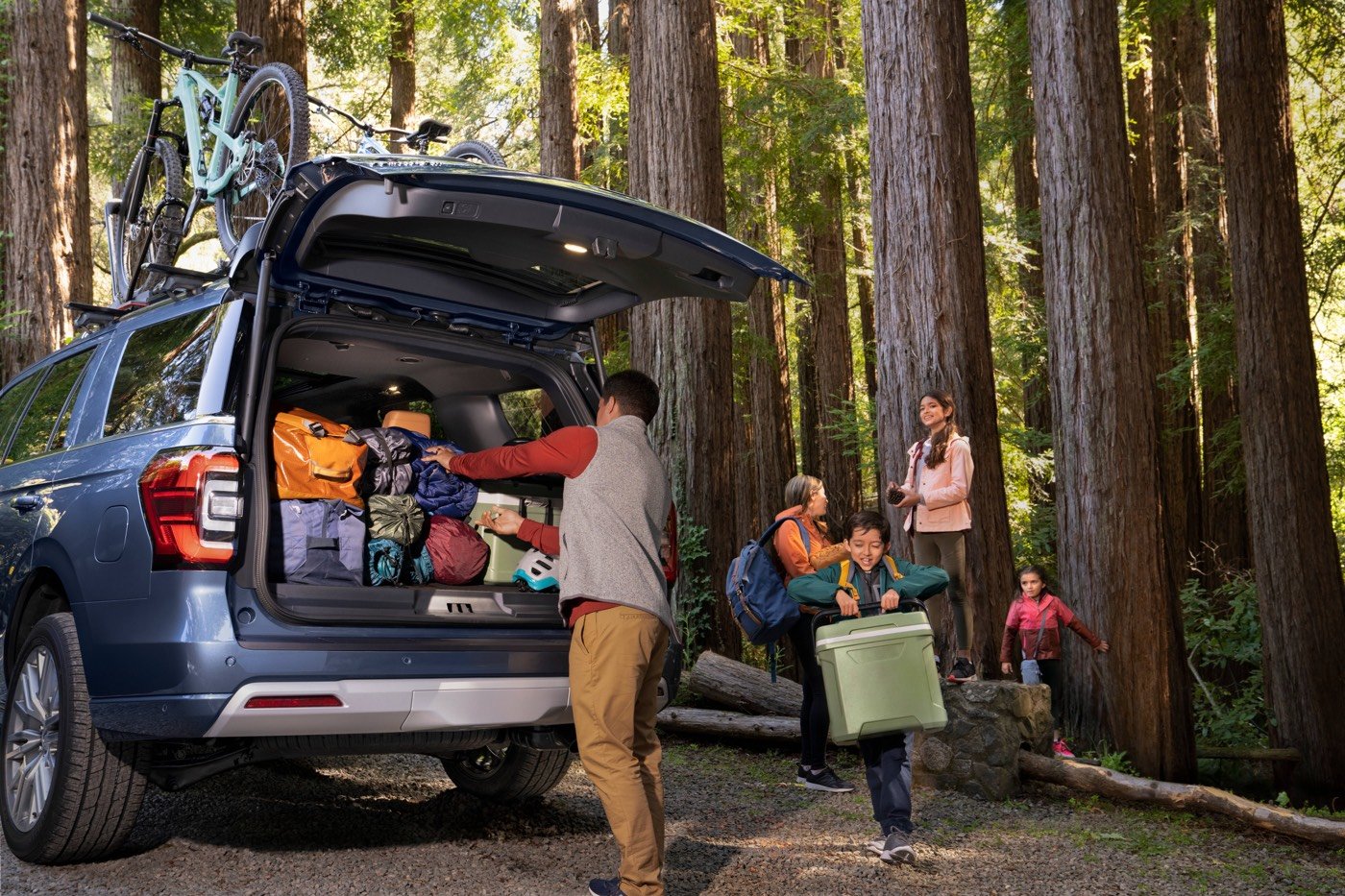 Ford Expedition Platinum 2022 14